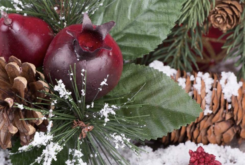 Berkeley Mall | Belk and JCPenney | Goldsboro, NC